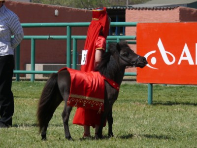 Richelle & Dark Believer